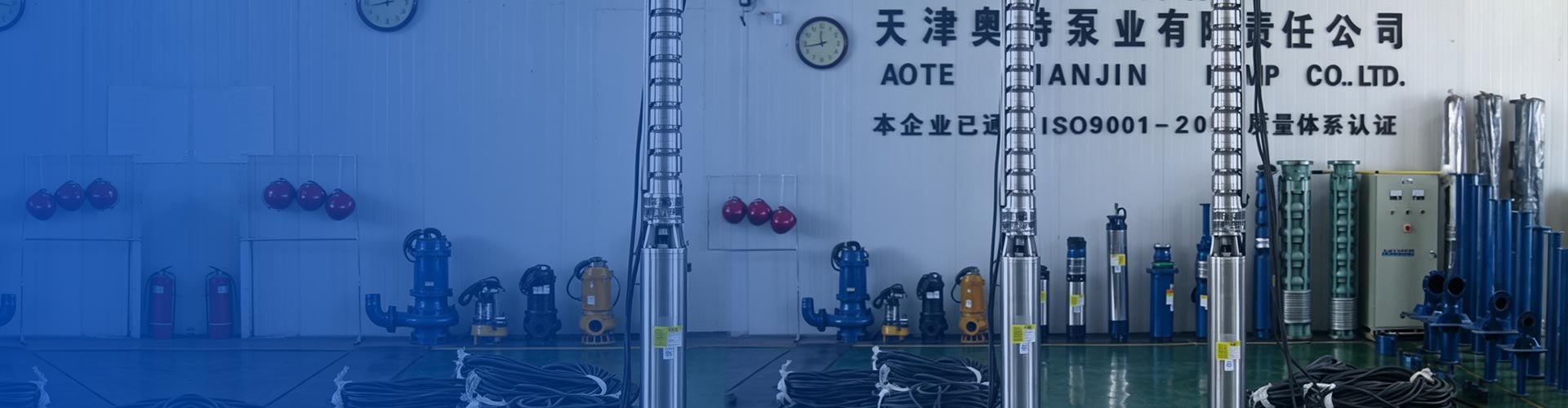Các sản phẩm